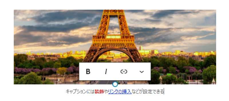 キャプションには装飾やリンクの挿入などが設定できる