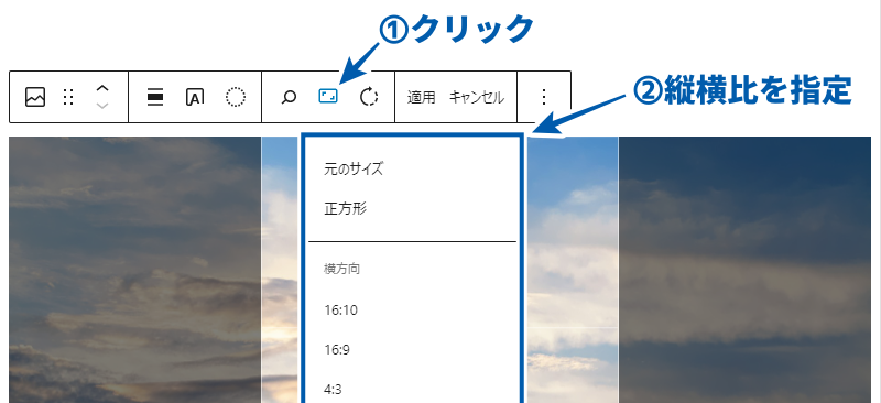 「縦横比」をクリックするとアスペクト比を変更できる