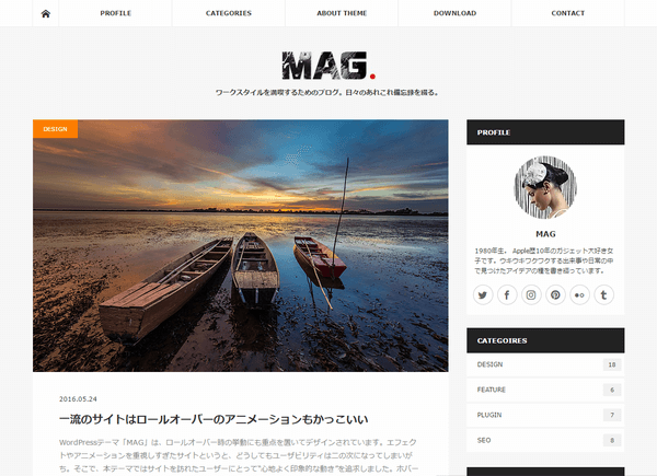 MAG